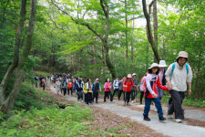 산청군, 지리산 미개방구간 장당계곡 일원 탐방 성황