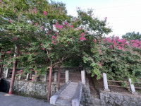 [경남에 있다. 전국에 잇다]함안 산인 고려동유적지