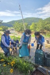 민주당 거제시의원, 합천군 수해 복구 자원봉사