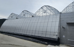 [경남에 있다. 전국에 잇다] 우리나라 비닐하우스의 발상지 김해