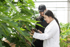 [경남농업 디지털로 가는 길]4. 경남형 아열대 과수 산업화