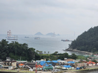 진해신항 개발 본격화, 피조개 어민 존폐 위기 피눈물 난다