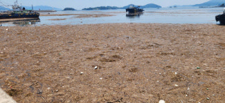 남강댐 사천만 쓰레기 문제 해결 불투명