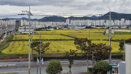 창원시 대산면 8년째 멈춘 신도시 꿈 지주·주민들 뿔났다