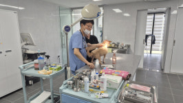 경남도, 하반기 동물병원 운영 실태 점검