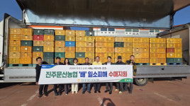진주문산농협, 일소피해 배 20톤 수매 지원