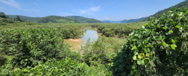 사천시-수자공, 남강댐 저수구역 버들류 제거 본격 추진