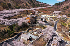 진주 월아산, 경남도 '지방정원'등록…'국가정원'도약 준비