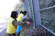 통영시 도산면, 전국생활체육대축전 맞이 환경정비 실시