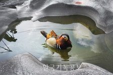 요선암