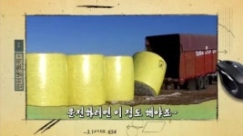 [굿모닝!/인터넷 토픽]운전하려면 이 정도 해야~