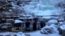 [신문보세/오늘의 영상]비슬산 ‘얼음동산’