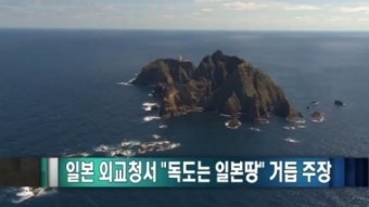 [직언직설]일본 외교청서 “독도는 일본땅” 거듭 주장