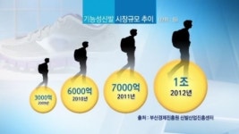 홍교종합신발 | [종합뉴스]“멋 내고 건강도 지키고” 기능성 신발시장 폭발 성장