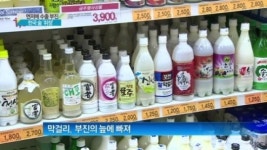 [종합뉴스]술술 풀리더니…한국술의 ‘굴욕’
