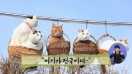 [아침뉴스/인터넷 토픽]“여기가 천국이네~”