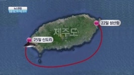 [뉴스현장]탈출한 돌고래 ‘삼팔이’, 야생에서 포착돼