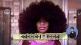 [아침뉴스/인터넷 토픽]세계에서 제일 큰 폭탄머리?