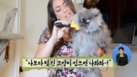 [아침뉴스/인터넷 토픽]세상에서 가장 긴 털을 가진 고양이