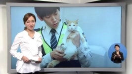 [아침뉴스/희로애락 뉴스]버려진 고양이가 가져온 ‘행복’