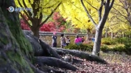 [뉴스 10/오늘의 영상]경상북도 청도군 운문면