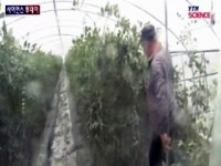 1년 농사, 장마철 대비로 판가름