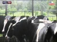 폭염에 농가·축사 비상