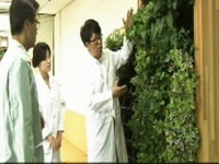 친환경 식물 정화기 등장