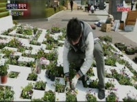 [사이언스 다큐] 자연을 가꾸고 디자인하는 가든 디자인