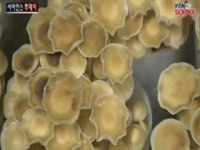 버섯 완전 국산화 멀지 않았다