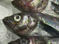 국민불안 해소되면 일 수산물 금수 해제