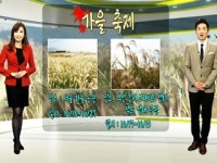 [날씨만만] 가을을 만끽하기 좋은 가을 축제
