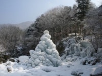 축령산휴양림 개장 이래 입장객 최다 기록
