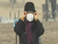 미세먼지, 황사 속 약초를 활용한 건강관리법
