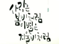 [무한상상 직업] 글자에 감성을 더하다 - 캘리그래퍼