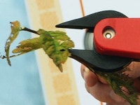 기발한 농업기술!