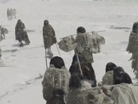 빅 히스토리, 모든 것의 역사-3