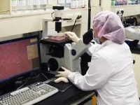 반도체 이후는 바이오…전략 육성 나선다