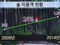 건강 찾는 힐링의 숲