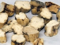 검찰, 가짜 백수오 내츄럴 엔도텍 무혐의 처분