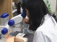 우리나라 여성 과학기술인력 현황과 확대 방안