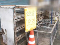 광주·담양에서 고병원성 AI 추가 발생