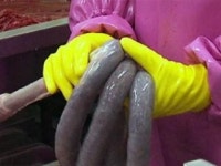 순대·떡볶이 안심하고 드세요