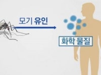 모기, 피부 미생물이 만드는 냄새 맡고 온다