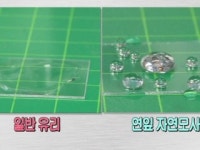 자연을 배우다 - 자연모사 과학 기술