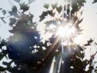 [YTN 사이언스] 무더운 5월… 황사 가고 오존 온다