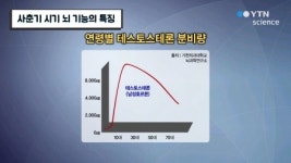 사춘기 시기 뇌 기능의 특징