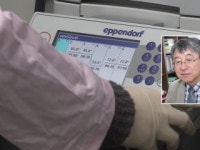 인플루엔자 바이러스 막는 나노구조체 개발