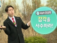 [톡 쏘는 과학 사이다] 감각을 사수하라 편