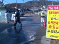 진정국면 AI 또다시 발생…야생철새 확진 하루새 3건